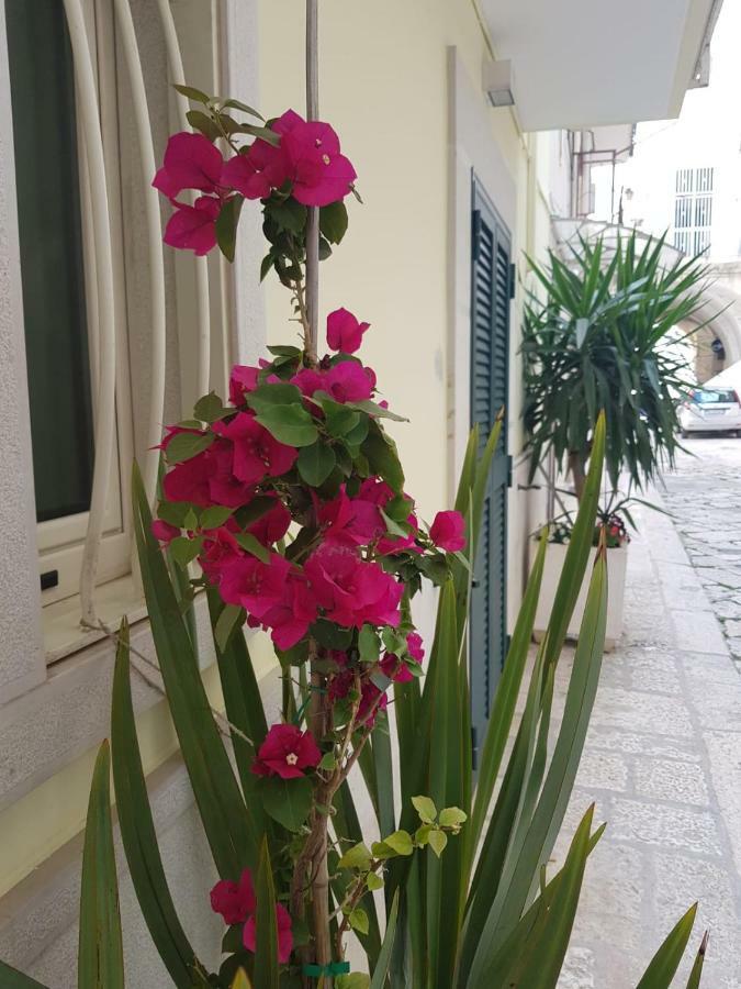 비톤토 Arco Gentile B&B 외부 사진